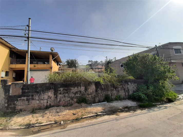 Foto REO1096651