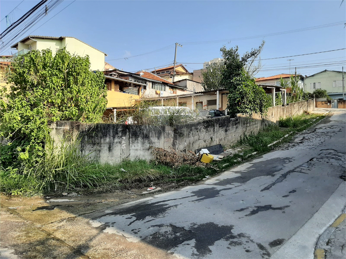 Foto REO1096651