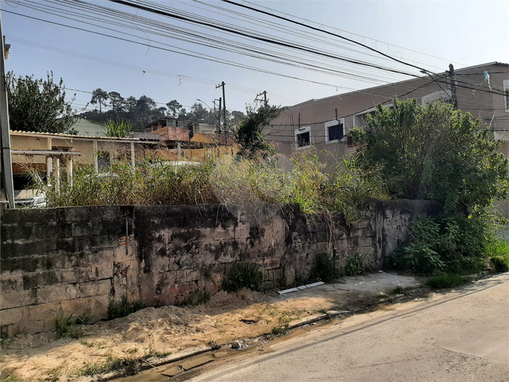 Foto REO1096651