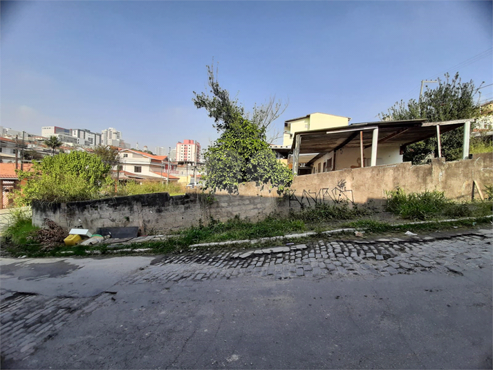 Foto REO1096651