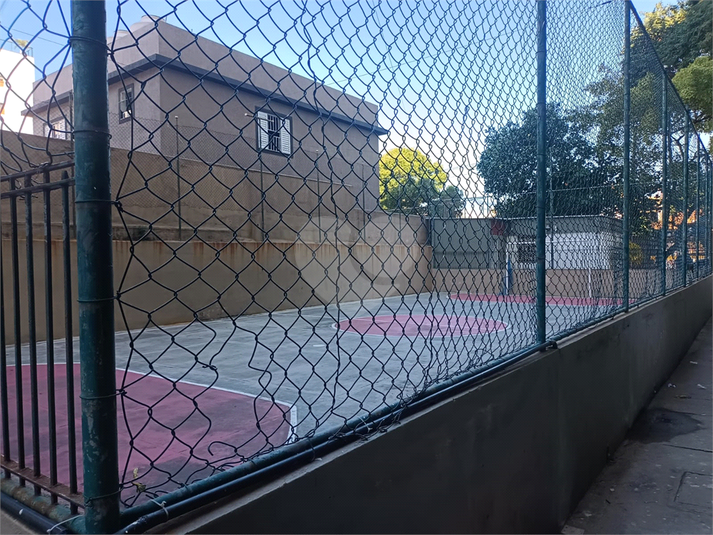 Foto REO1096652