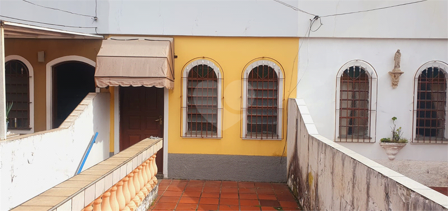 Foto REO1096656