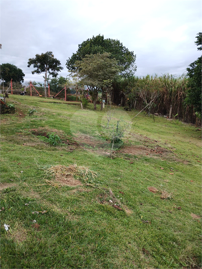 Foto REO1096663