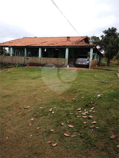 Foto REO1096663