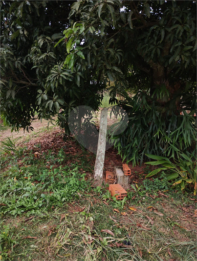 Foto REO1096663