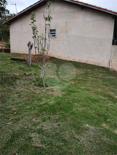 Foto REO1096663