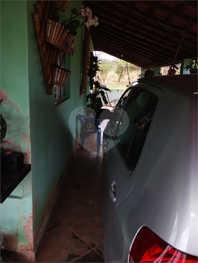 Foto REO1096663