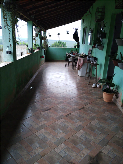 Foto REO1096663