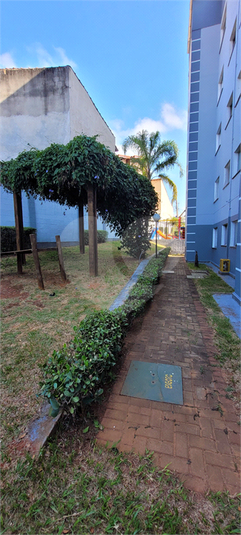 Foto REO1096665
