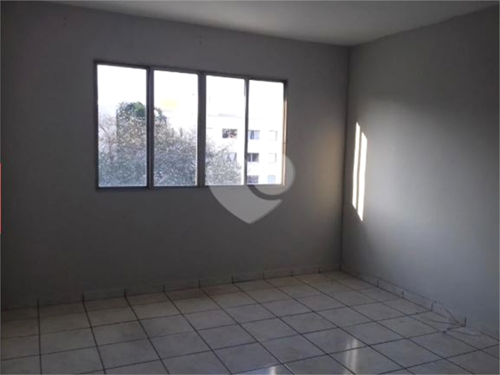 Foto REO1096666