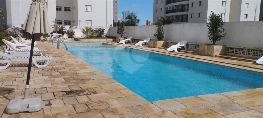 Foto REO1096676