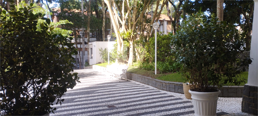 Foto REO1096676