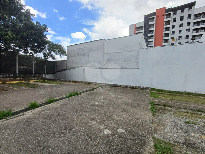 Foto REO1096679