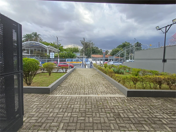Foto REO1096679