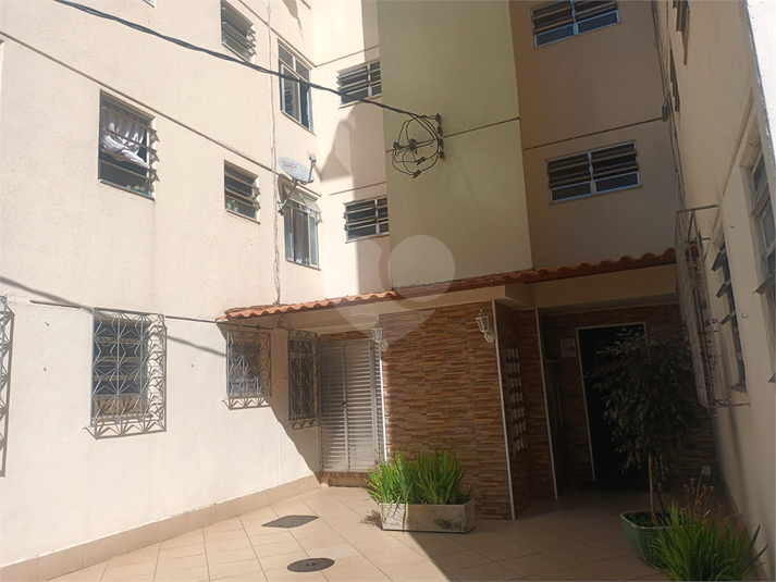 Foto REO1096681
