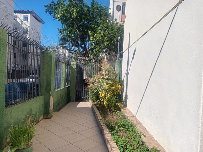 Foto REO1096681