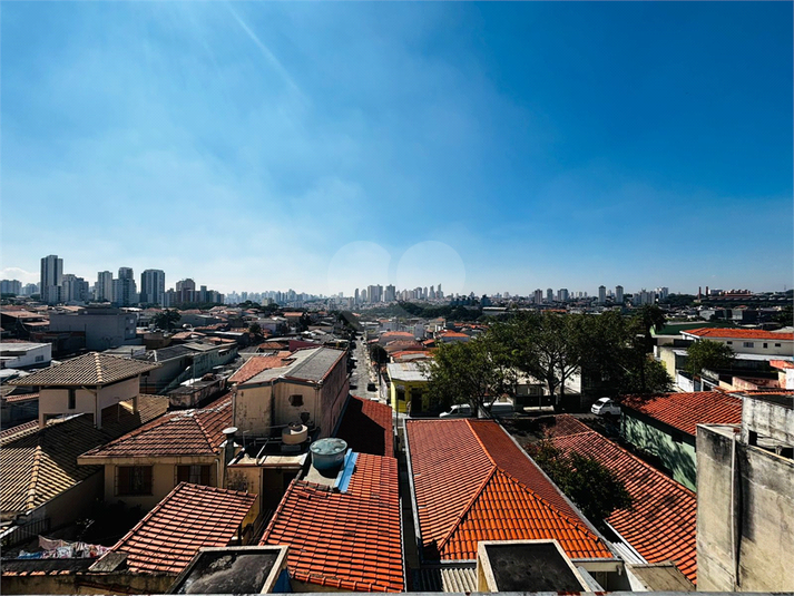 Foto REO1096685