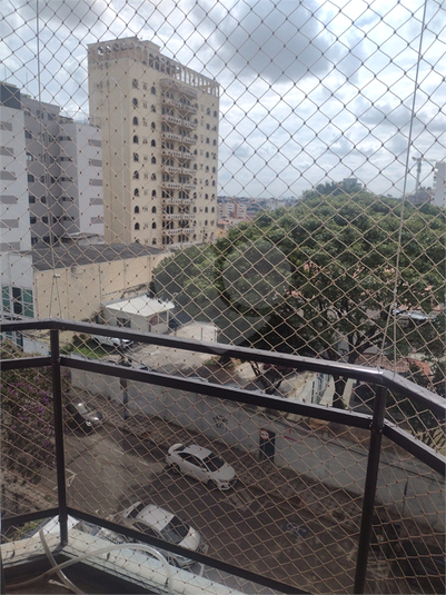 Foto REO1096689