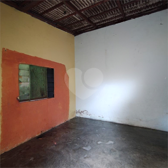 Foto REO1096690