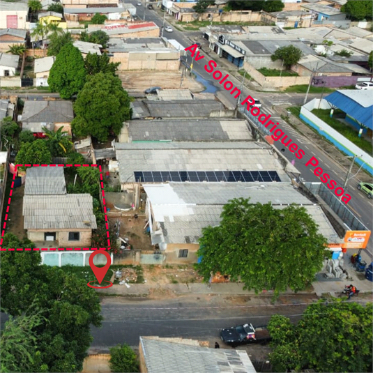 Foto REO1096690