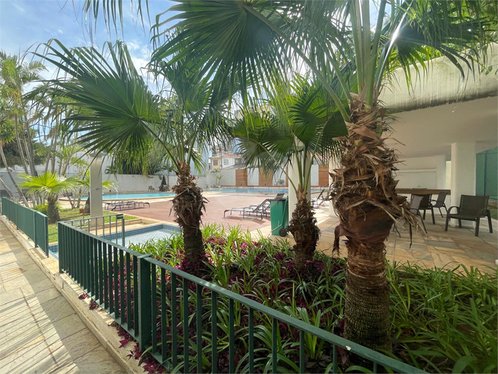 Foto REO1096697