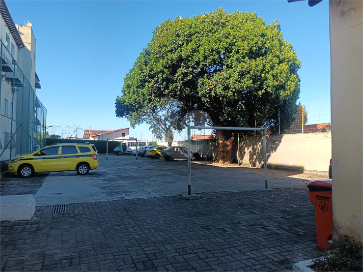 Foto REO1096699