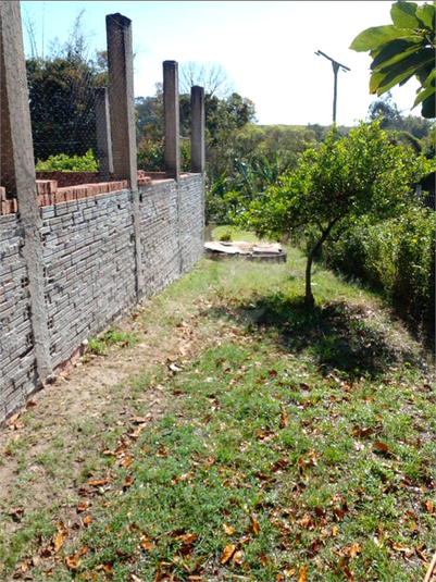 Foto REO1096705