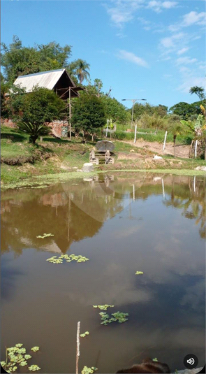 Foto REO1096705