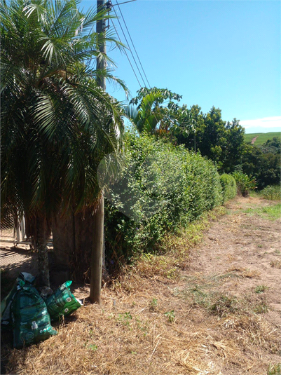 Foto REO1096705