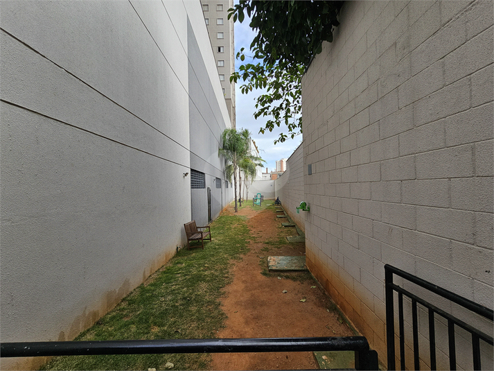 Foto REO1096710