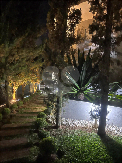 Foto REO1096711
