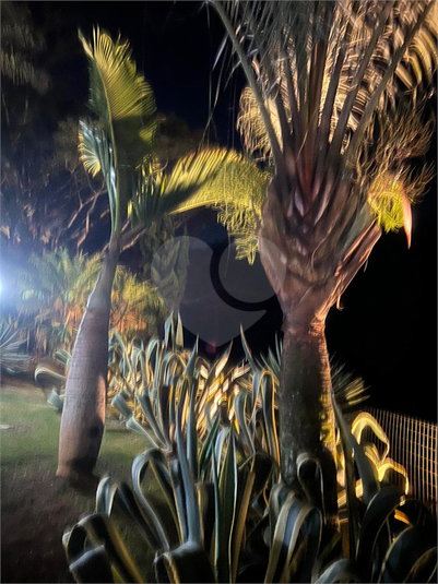 Foto REO1096711