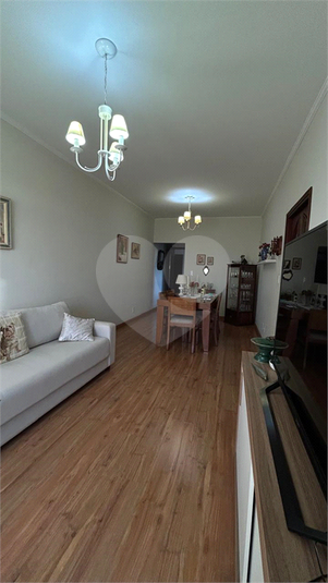 Foto REO1096717