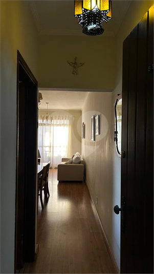 Foto REO1096717