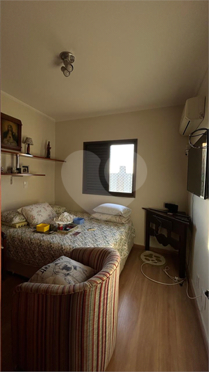 Foto REO1096717