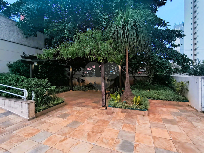 Foto REO1096718