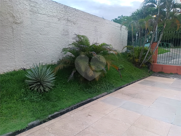 Foto REO1096724