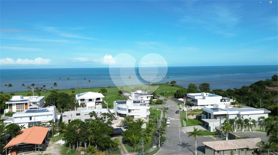 Foto REO1096728