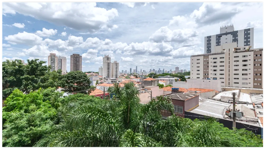 Foto REO1096729