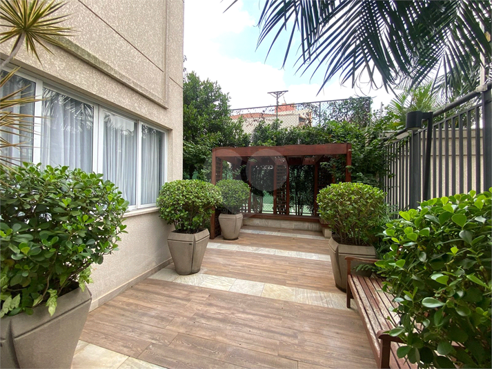 Foto REO1096735