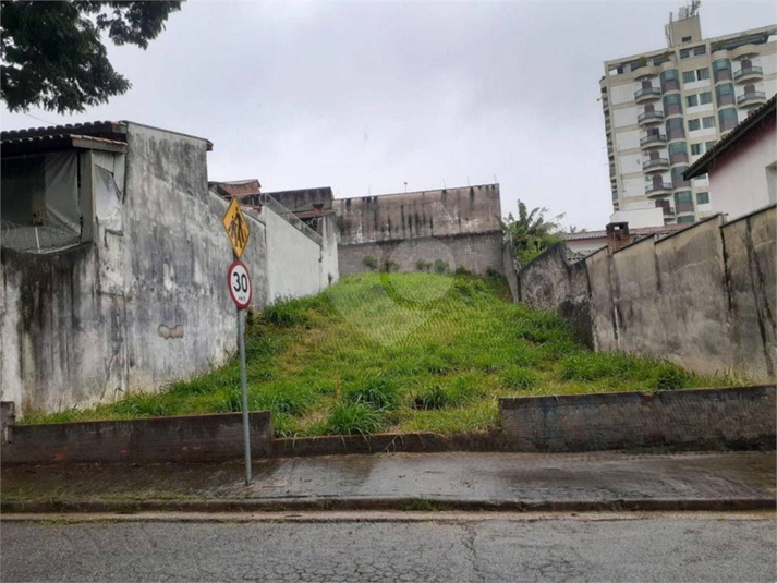 Foto REO1096738