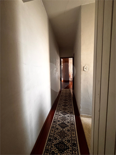 Foto REO1096748
