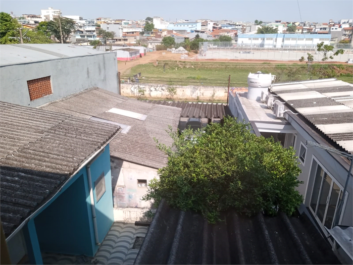 Foto REO1096756