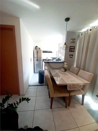 Foto REO1096758