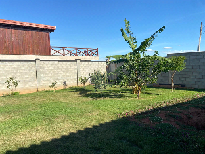 Foto REO1096767