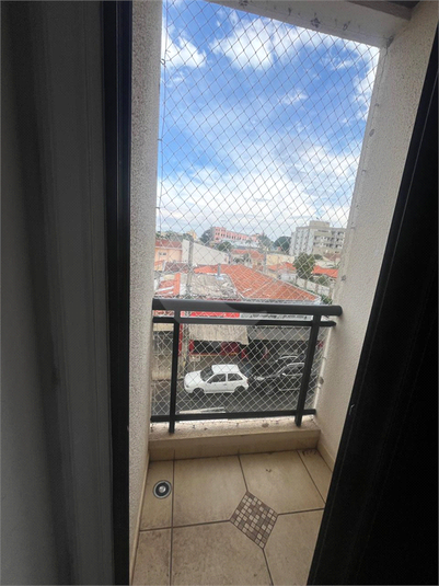Foto REO1096773