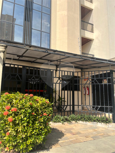 Foto REO1096773