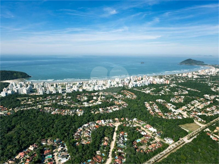 Foto REO1096777