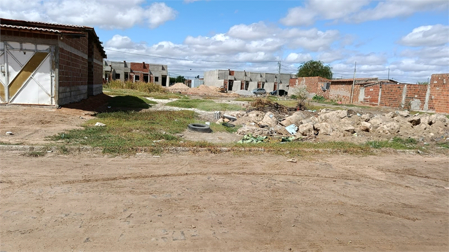 Foto REO1096781