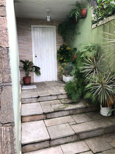 Foto REO1096784